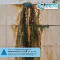 DrySeal Home and Basement Solutions image 10